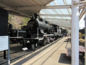 IMG_5369