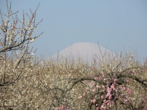 IMG_5412