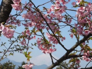 IMG_5447