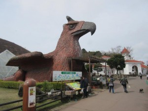 IMG_5557