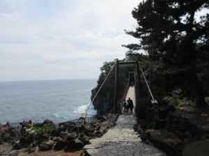 IMG_5563