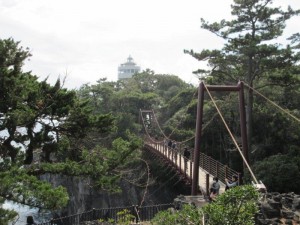 IMG_5566