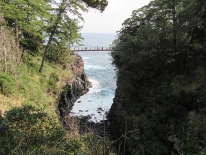 IMG_5567