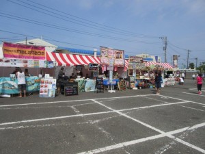 IMG_6337