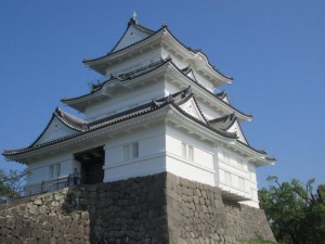 IMG_6474