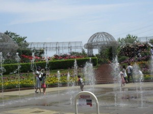 IMG_6522