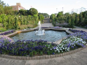 IMG_6901