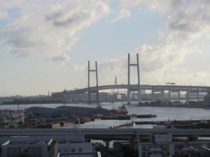 IMG_6903