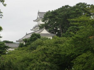 img_7053