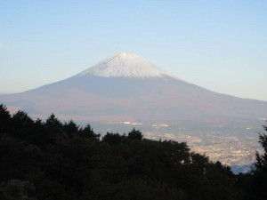 img_7440