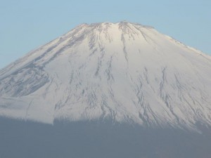 img_7441