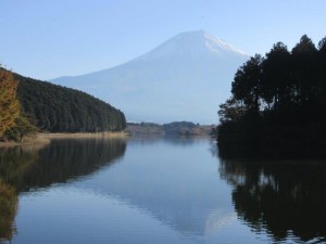 img_7445