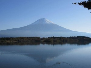 img_7456
