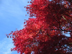 img_7635