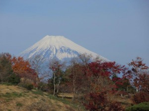 img_7638