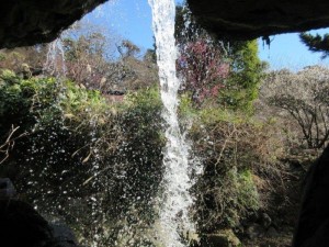 IMG_7843