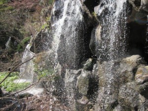 IMG_7845