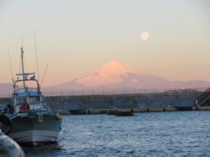 IMG_7997