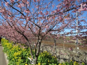 IMG_8003