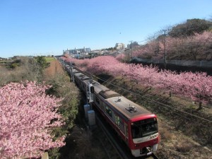 IMG_8020
