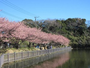 IMG_8026
