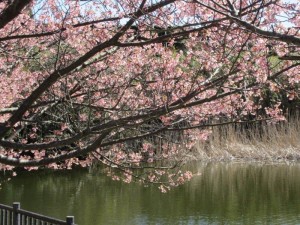 IMG_8027