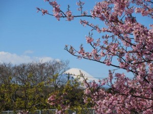 IMG_8028