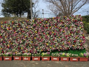 掃部山公園入口