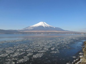 IMG_7877