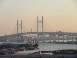 IMG_8221