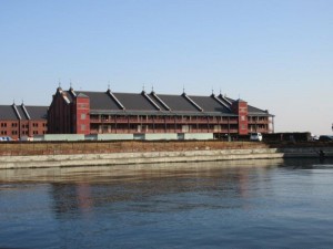 IMG_8233