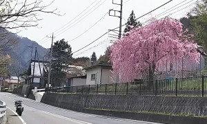 2017-04-20羊山公園~勝沼ツーリング (6)