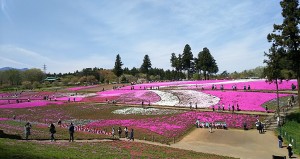 2017-04-20羊山公園~勝沼ツーリング (2)