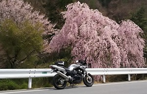 2017-04-20羊山公園~勝沼ツーリング (7)