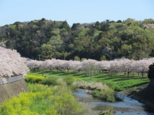 IMG_8530