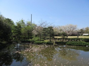 IMG_8540