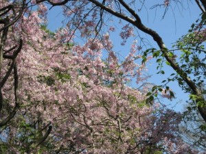 IMG_8543