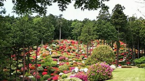 薬王寺 (2)