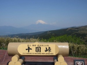IMG_8639