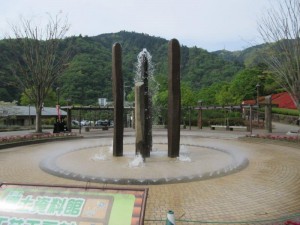 IMG_8667