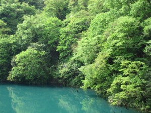 IMG_8677