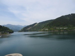 IMG_8686