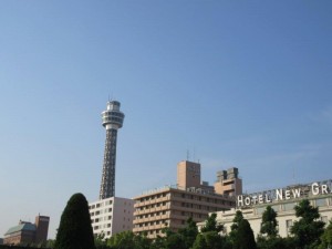 IMG_8877