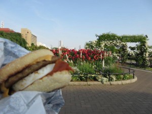 IMG_8891