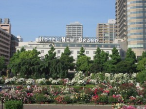 IMG_8897