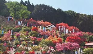 五大尊花木公園 (2)