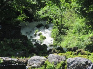 IMG_8951