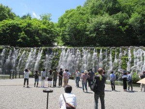 IMG_8954