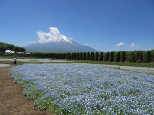 IMG_8963