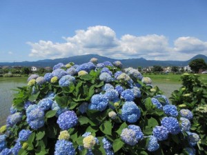 IMG_9063